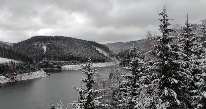 Falkenstein – Natur pur