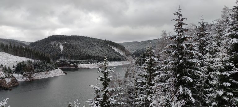 Falkenstein – Natur pur