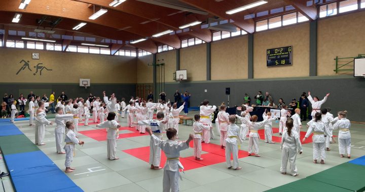 Judo Anfängerturnier im Turbomodus