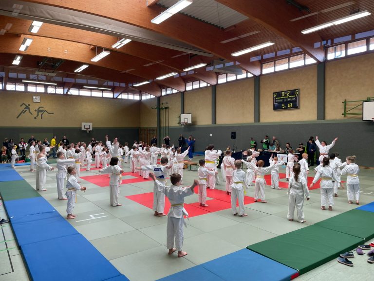 Judo Anfängerturnier im Turbomodus