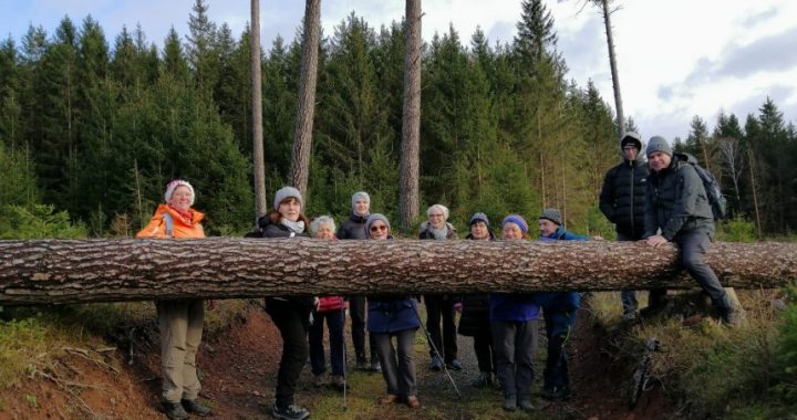 28.12.2023 – Finsterbergen