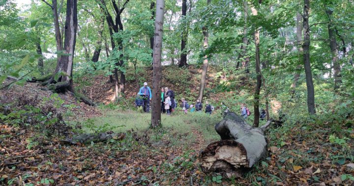 Wandern übers Jahr 2026