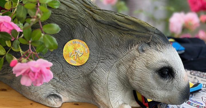 11. Böhmenturnier zum 20-Jährigen